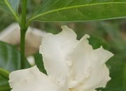 开云体育在线-包含他的车现在没有机油，后果将会是非常严重的，这点大家都心知肚明的词条