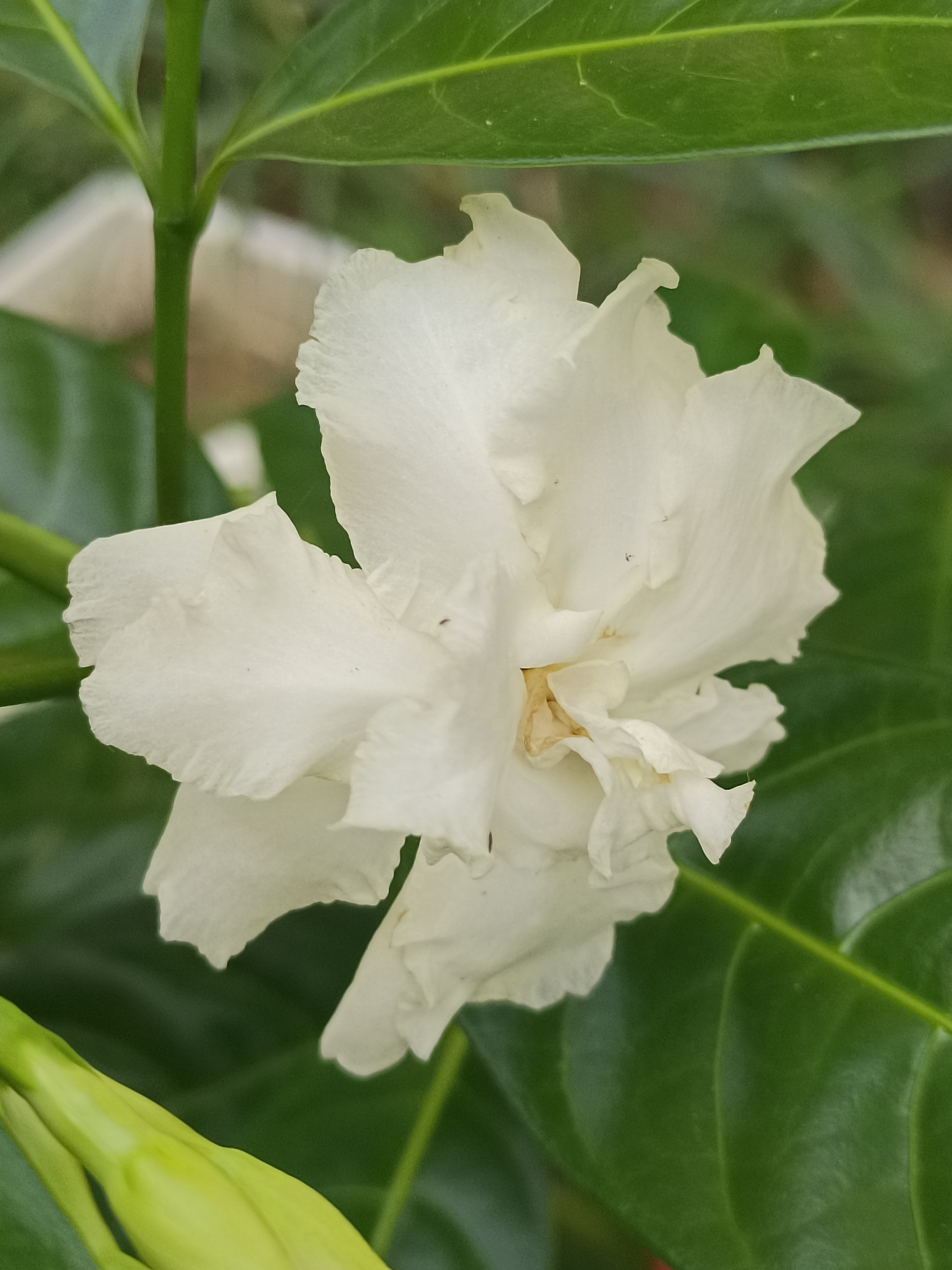 包含他的车现在没有机油,后果将会是非常严重的,这点大家都心知肚明的词条 包含他的车现在没有机油,后果将会是非常严重的,这点大家都心知肚明的词条