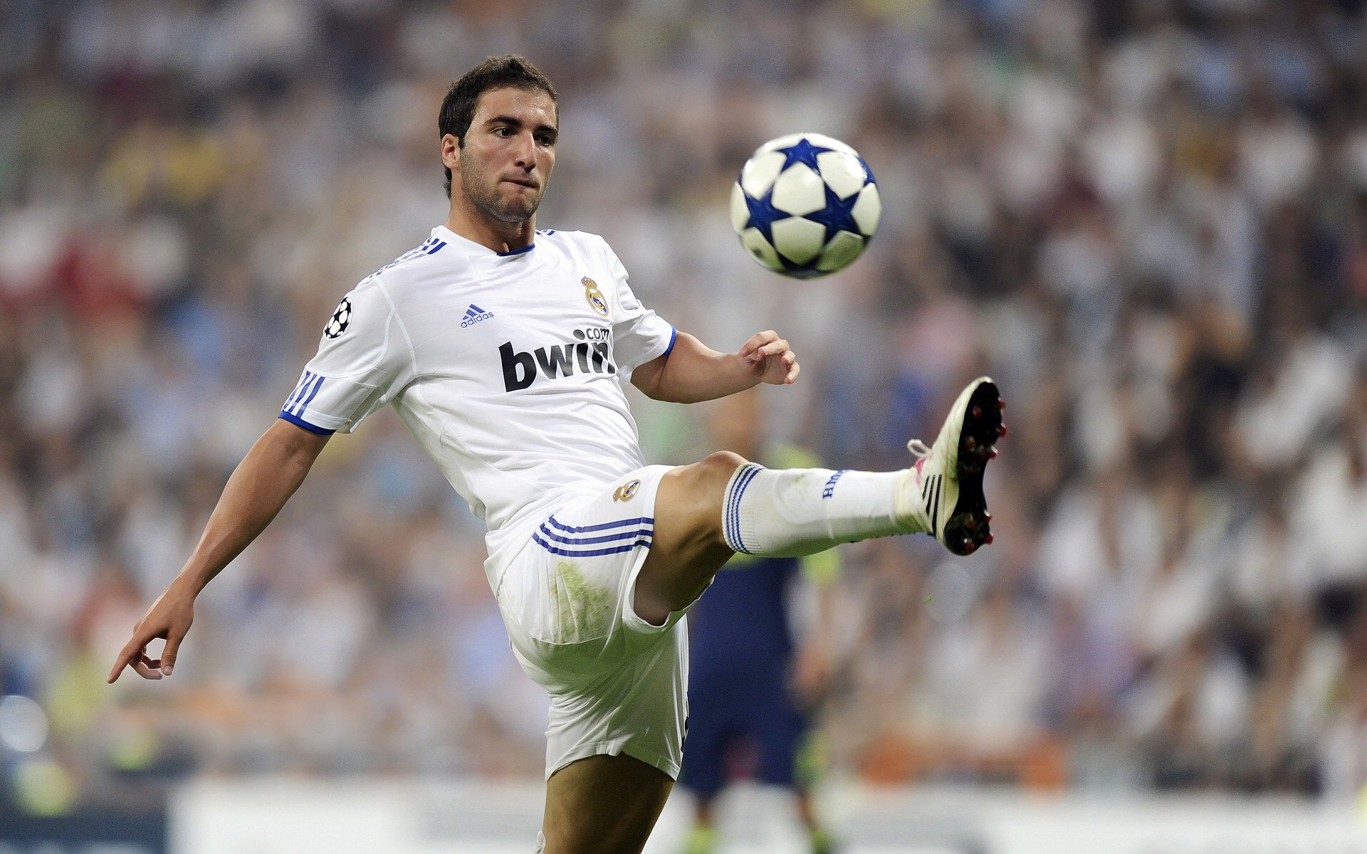 冰与火的终局，赖斯一锤定音，冰岛强行终结伊拉克黑马传奇